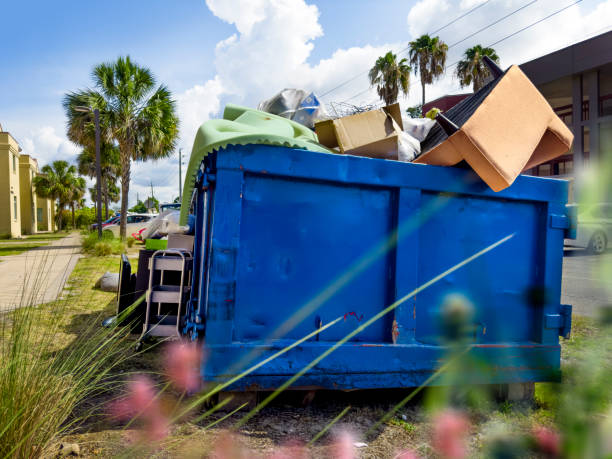 Best Basement Cleanout Services  in Ludington, MI